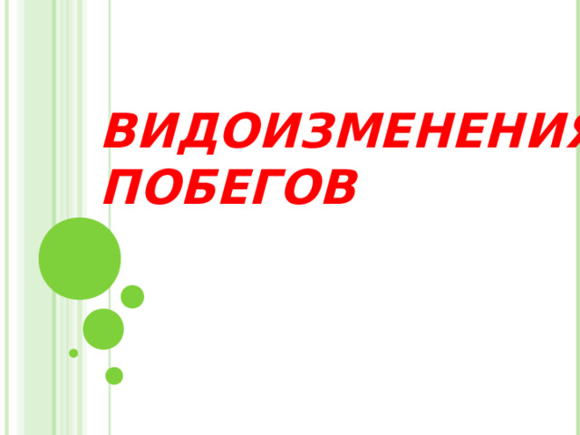 ВИДОИЗМЕНЕНИЯ ПОБЕГОВ 