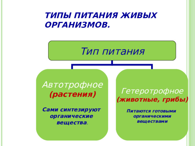 ТИПЫ ПИТАНИЯ ЖИВЫХ ОРГАНИЗМОВ. Тип питания Автотрофное Гетеротрофное (растения) (животные, грибы) Сами синтезируют органические вещества . Питаются готовыми органическими веществами  