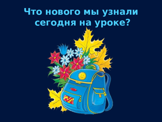 Что нового мы узнали сегодня на уроке? 