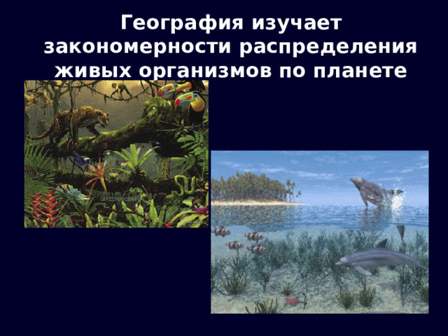 География изучает закономерности распределения живых организмов по планете 