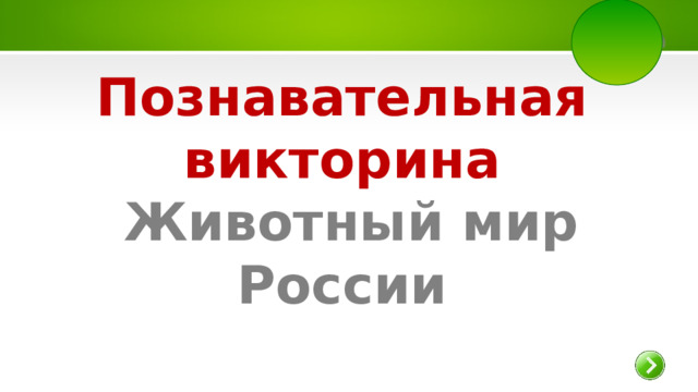 Познавательная викторина Животный мир России 