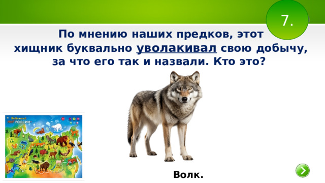 7. По мнению наших предков, этот хищник буквально уволакивал свою добычу, за что его так и назвали. Кто это?  Волк.  