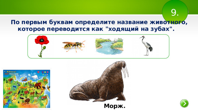 9. По первым буквам определите название животного, которое переводится как 