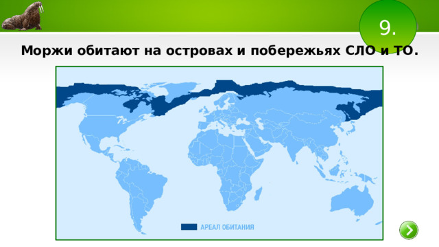 9. Моржи обитают на островах и побережьях СЛО и ТО .  