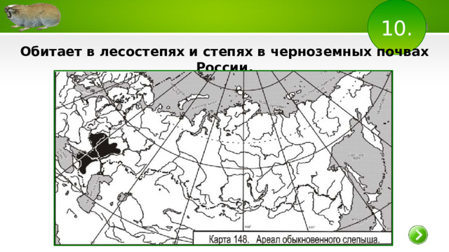 10. Обитает в лесостепях и степях в черноземных почвах России .  