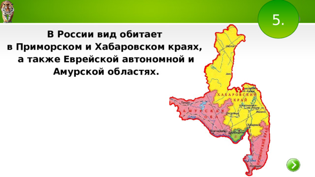 5. В России вид обитает в Приморском и Хабаровском краях, а также Еврейской автономной и Амурской областях. 