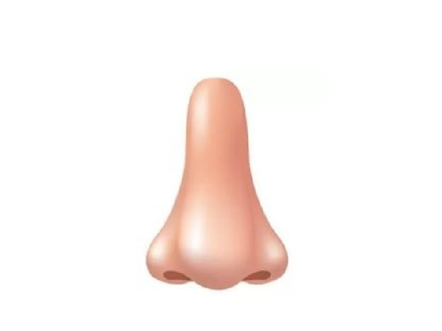 Look at your nose 