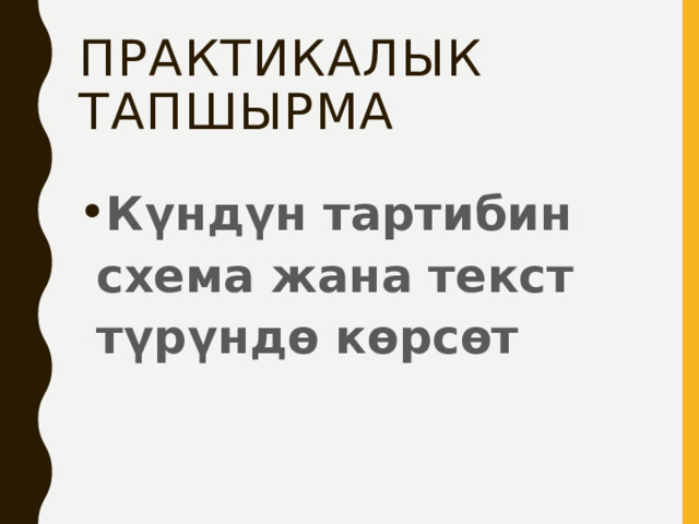 Практикалык тапшырма Күндүн тартибин схема жана текст түрүндө көрсөт 