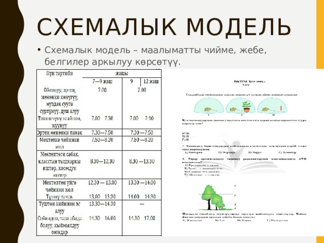 Схемалык модель Схемалык модель – маалыматты чийме, жебе, белгилер аркылуу көрсөтүү. 
