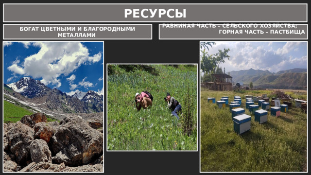 РЕСУРСЫ БОГАТ ЦВЕТНЫМИ И БЛАГОРОДНЫМИ МЕТАЛЛАМИ РАВНИНАЯ ЧАСТЬ – СЕЛЬСКОГО ХОЗЯЙСТВА; ГОРНАЯ ЧАСТЬ – ПАСТБИЩА 