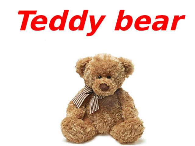 Teddy bear 