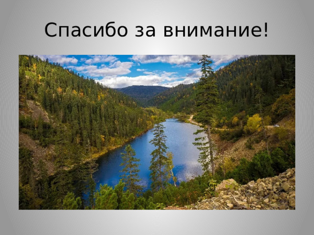 Спасибо за внимание! 