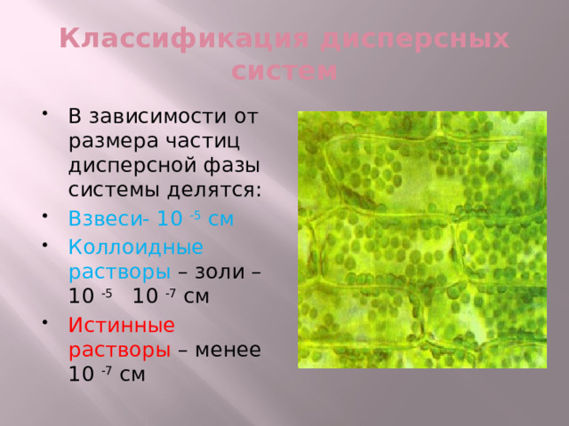 Классификация дисперсных систем В зависимости от размера частиц дисперсной фазы системы делятся: Взвеси- 10 -5 см Коллоидные растворы – золи – 10 -5 10 -7 см Истинные растворы – менее 10 -7 см 