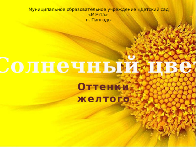 Муниципальное образовательное учреждение «Детский сад «Мечта» п. Пангоды Солнечный цвет Оттенки желтого 
