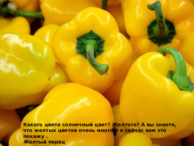 Какого цвета солнечный цвет? Желтого? А вы знаете, что желтых цветов очень много и я сейчас вам это покажу . Желтый перец 