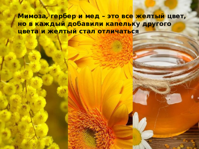 Мимоза, гербер и мед – это все желтый цвет, но в каждый добавили капельку другого цвета и желтый стал отличаться 