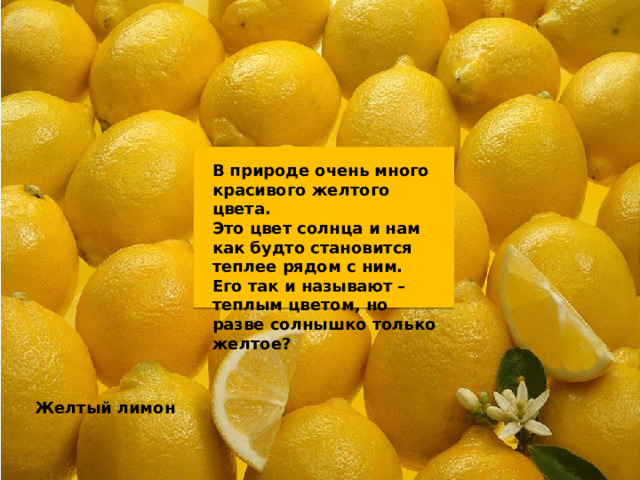 В природе очень много красивого желтого цвета. Это цвет солнца и нам как будто становится теплее рядом с ним. Его так и называют – теплым цветом, но разве солнышко только желтое? Желтый лимон 