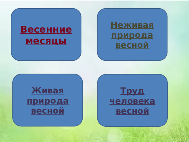 Весенние месяцы Неживая природа весной Живая природа весной Труд человека весной 