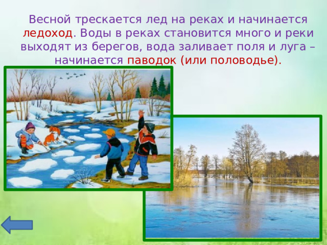 Весной трескается лед на реках и начинается ледоход . Воды в реках становится много и реки выходят из берегов, вода заливает поля и луга – начинается паводок (или половодье). 