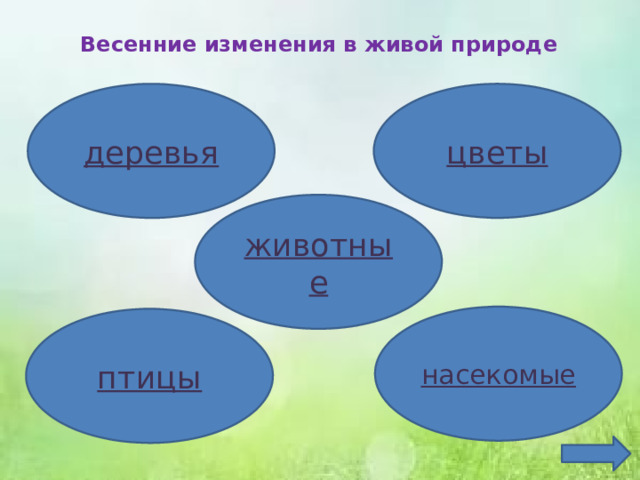Весенние изменения в живой природе   цветы деревья животные насекомые птицы 