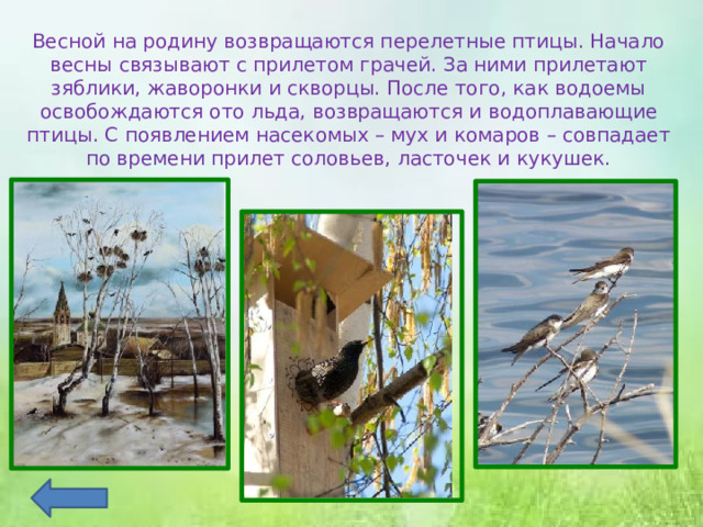 Весной на родину возвращаются перелетные птицы. Начало весны связывают с прилетом грачей. За ними прилетают зяблики, жаворонки и скворцы. После того, как водоемы освобождаются ото льда, возвращаются и водоплавающие птицы. С появлением насекомых – мух и комаров – совпадает по времени прилет соловьев, ласточек и кукушек.   