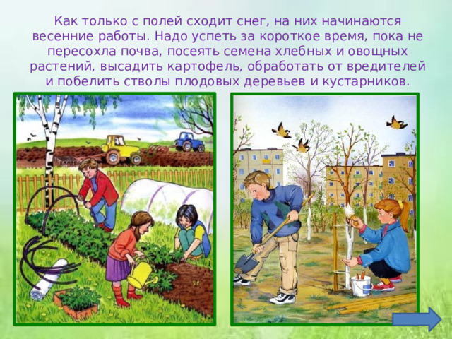 Как только с полей сходит снег, на них начинаются весенние работы. Надо успеть за короткое время, пока не пересохла почва, посеять семена хлебных и овощных растений, высадить картофель, обработать от вредителей и побелить стволы плодовых деревьев и кустарников. 