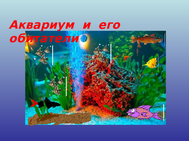 Аквариум и его обитатели 