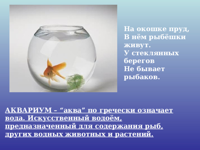 На окошке пруд,  В нём рыбёшки живут.  У стеклянных берегов  Не бывает рыбаков. АКВАРИУМ – “аква” по гречески означает вода. Искусственный водоём, предназначенный для содержания рыб, других водных животных и растений.           