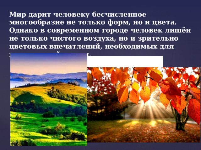 Мир дарит человеку бесчисленное многообразие не только форм, но и цвета. Однако в современном городе человек лишён не только чистого воздуха, но и зрительно цветовых впечатлений, необходимых для полноценной жизни. 