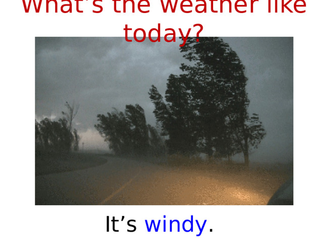What’s the weather like today? It’s windy .  