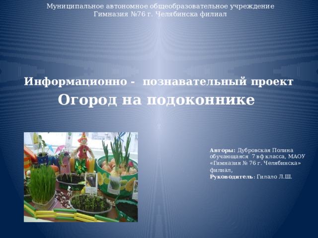 Муниципальное автономное общеобразовательное учреждение  Гимназия №76 г. Челябинска филиал    Информационно - познавательный проект Огород на подоконнике Авторы: Дубровская Полина обучающаяся 7 вф класса, МАОУ « Гимназия № 76 г. Челябинска » филиал , Руководитель : Гилало Л.Ш. 