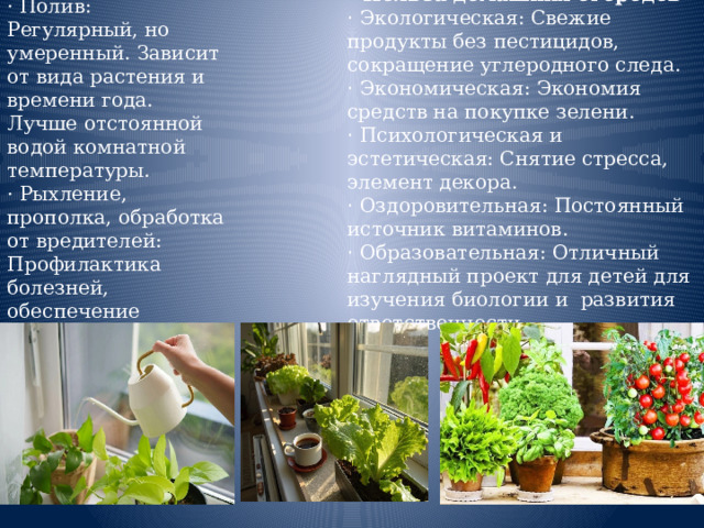 Методы ухода за растениями · Полив: Регулярный, но умеренный. Зависит от вида растения и времени года. Лучше отстоянной водой комнатной температуры. · Рыхление, прополка, обработка от вредителей: Профилактика болезней, обеспечение доступа воздуха к корням. Польза домашних огородов · Экологическая: Свежие продукты без пестицидов, сокращение углеродного следа. · Экономическая: Экономия средств на покупке зелени. · Психологическая и эстетическая: Снятие стресса, элемент декора. · Оздоровительная: Постоянный источник витаминов. · Образовательная: Отличный наглядный проект для детей для изучения биологии и развития ответственности. 