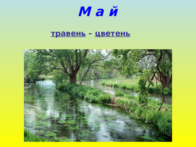 М а й  травень – цветень 