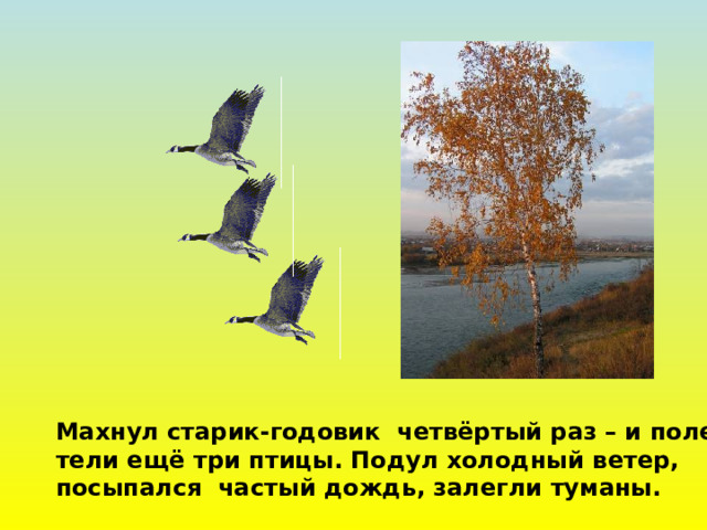 Махнул старик-годовик четвёртый раз – и поле- тели ещё три птицы. Подул холодный ветер, посыпался частый дождь, залегли туманы. 