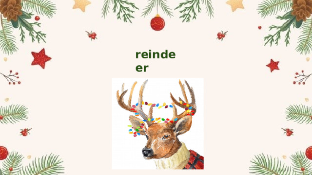 reindeer 