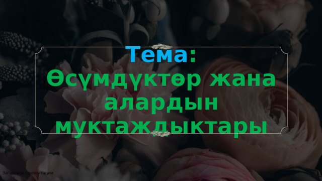 Тема : Өсүмдүктөр жана алардын муктаждыктары Заголовок презентации 1 