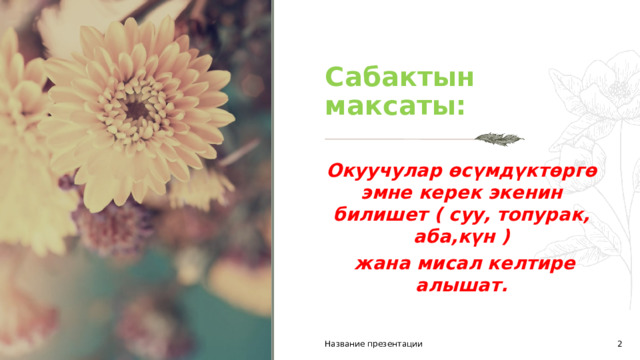 Сабактын максаты: Окуучулар өсүмдүктөргө эмне керек экенин билишет ( суу, топурак, аба,күн )  жана мисал келтире алышат. Название презентации 1 1 