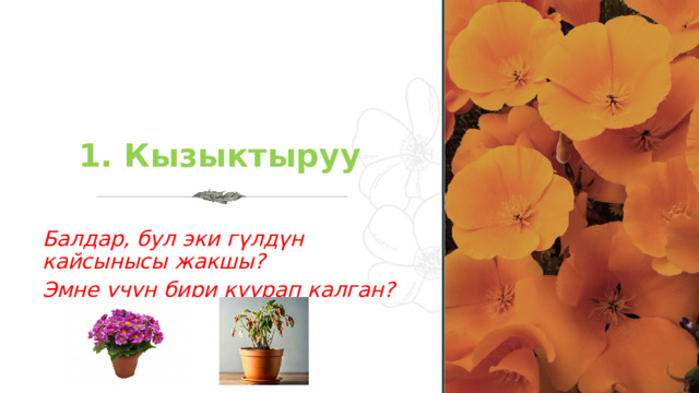 1. Кызыктыруу Балдар, бул эки гүлдүн кайсынысы жакшы? Эмне үчүн бири куурап калган? 1 