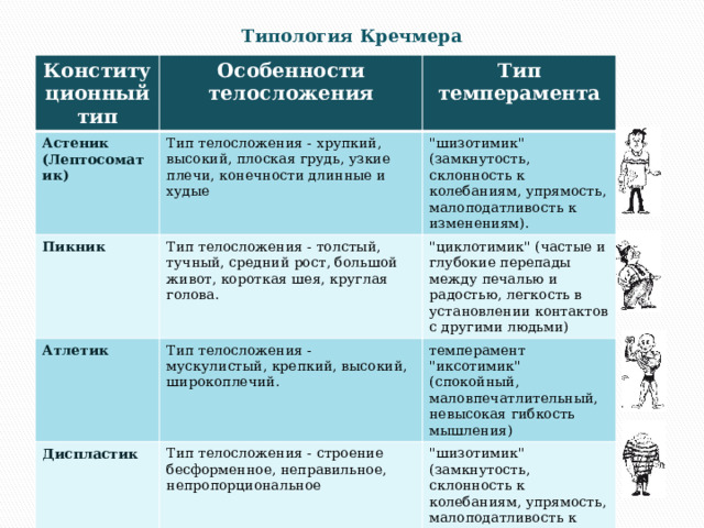 Типология Кречмера Конституционный тип Особенности телосложения Астеник (Лептосоматик) Тип темперамента Тип телосложения - хрупкий, высокий, плоская грудь, узкие плечи, конечности длинные и худые Пикник 