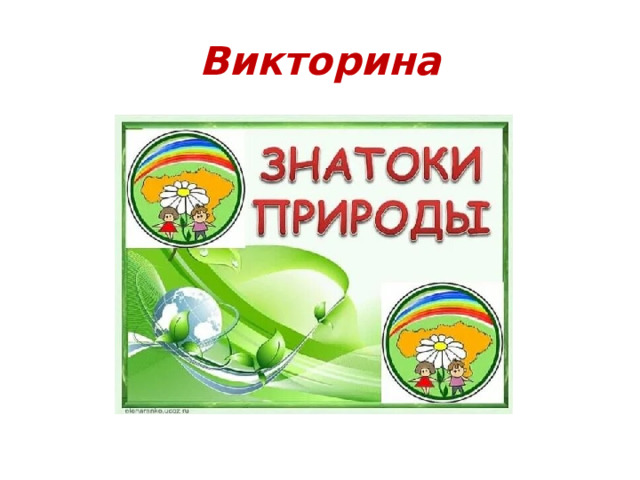 Викторина 