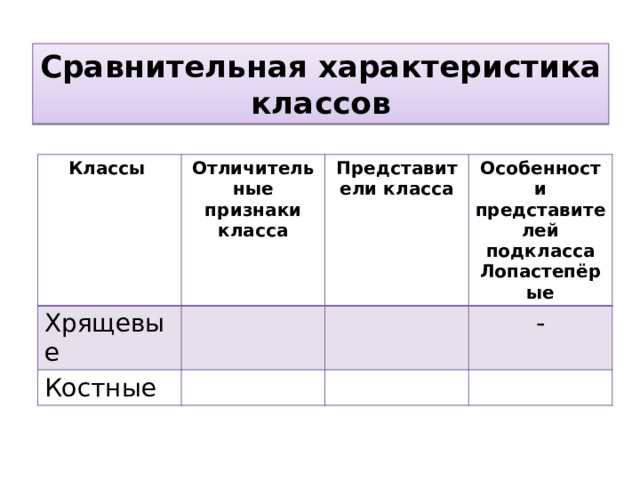 Сравнительная характеристика классов Классы Отличительные признаки класса Хрящевые Представители класса Костные Особенности представителей подкласса Лопастепёрые - 