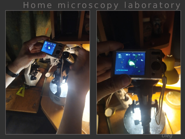 Home microscopy laboratory Oleg Orlov 