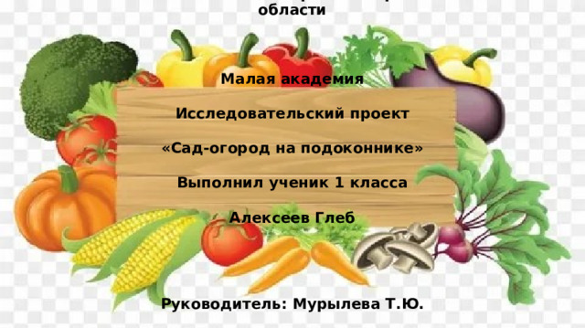 МОУ СОШ п.Поливаново МО «Барышский район» Ульяновской области    Малая академия  Исследовательский проект  «Сад-огород на подоконнике»  Выполнил ученик 1 класса  Алексеев Глеб     Руководитель: Мурылева Т.Ю. 