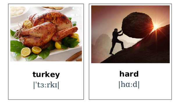 hard |hɑːd| turkey |ˈtɜːrkɪ| 