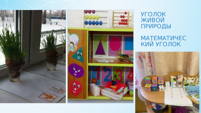 Уголок живой природы   Математический уголок 