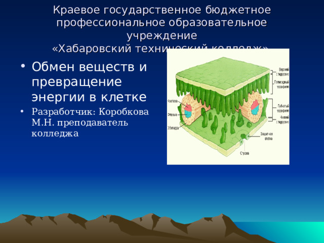 Краевое государственное бюджетное  профессиональное образовательное учреждение  «Хабаровский технический колледж» Обмен веществ и превращение энергии в клетке Разработчик: Коробкова М.Н. преподаватель колледжа 