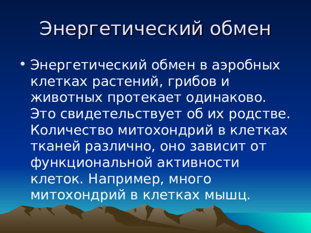Энергетический обмен Энергетический обмен в аэробных клетках растений, грибов и животных протекает одинаково. Это свидетельствует об их родстве. Количество митохондрий в клетках тканей различно, оно зависит от функциональной активности клеток. Например, много митохондрий в клетках мышц.  