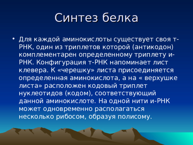 Синтез белка Для каждой аминокислоты существует своя т-РНК, один из триплетов которой (антикодон) комплементарен определенному триплету и-РНК. Конфигурация т-РНК напоминает лист клевера. К «черешку» листа присоединяется определенная аминокислота, а на « верхушке листа» расположен кодовый триплет нуклеотидов (кодом), соответствующий данной аминокислоте. На одной нити и-РНК может одновременно располагаться несколько рибосом, образуя полисому.  