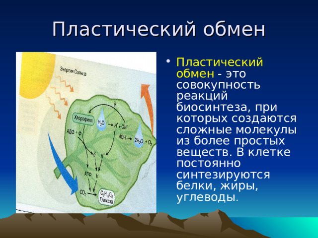 Пластический обмен Пластический обмен - это совокупность реакций биосинтеза, при которых создаются сложные молекулы из более простых веществ. В клетке постоянно синтезируются белки, жиры, углеводы . 