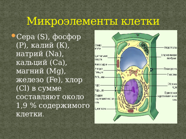 Микроэлементы клетки Сера (S), фосфор (Р), калий (К), натрий (Na), кальций (Са), магний (Мg), железо (Fe), хлор (Cl) в сумме составляют около 1,9 % содержимого клетки . 